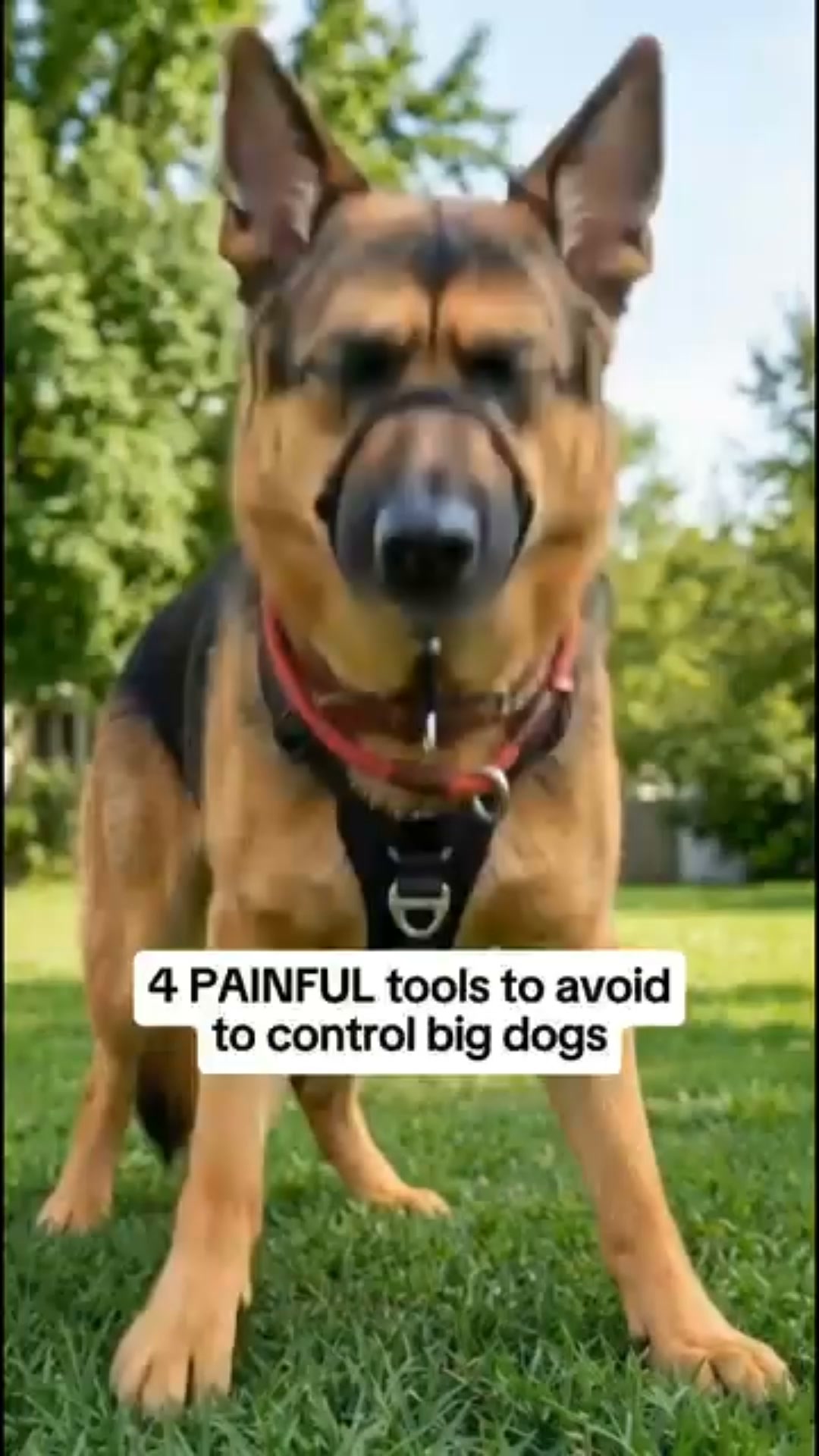 The Tool That Stops The Pulling Without Pain