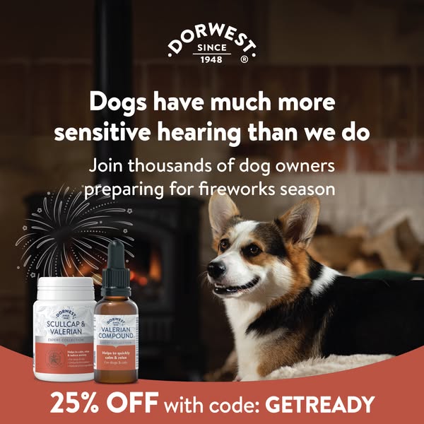Support your dog this fireworks season