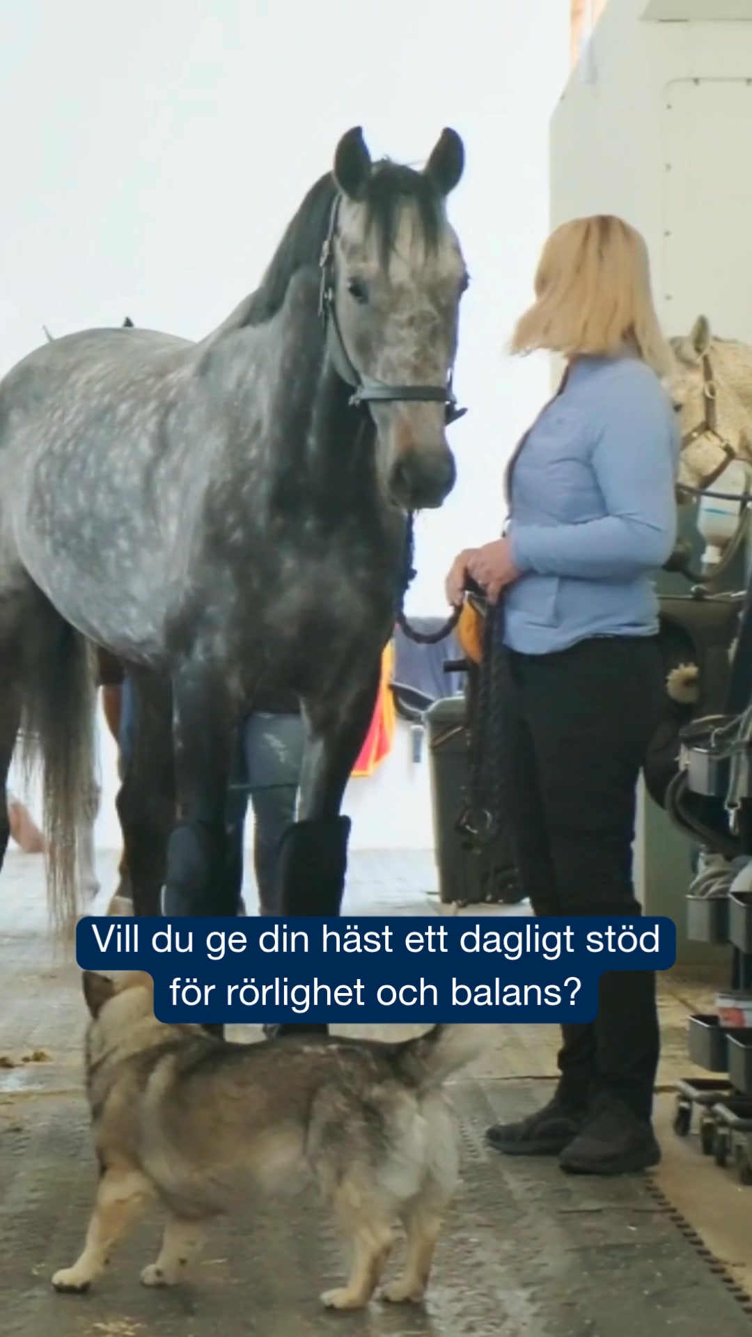 Enkel hjälp vid stelhet & återhämtning