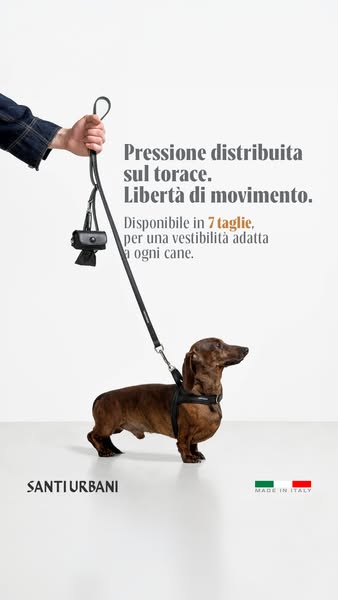 Libertà di movimento, ogni giorno