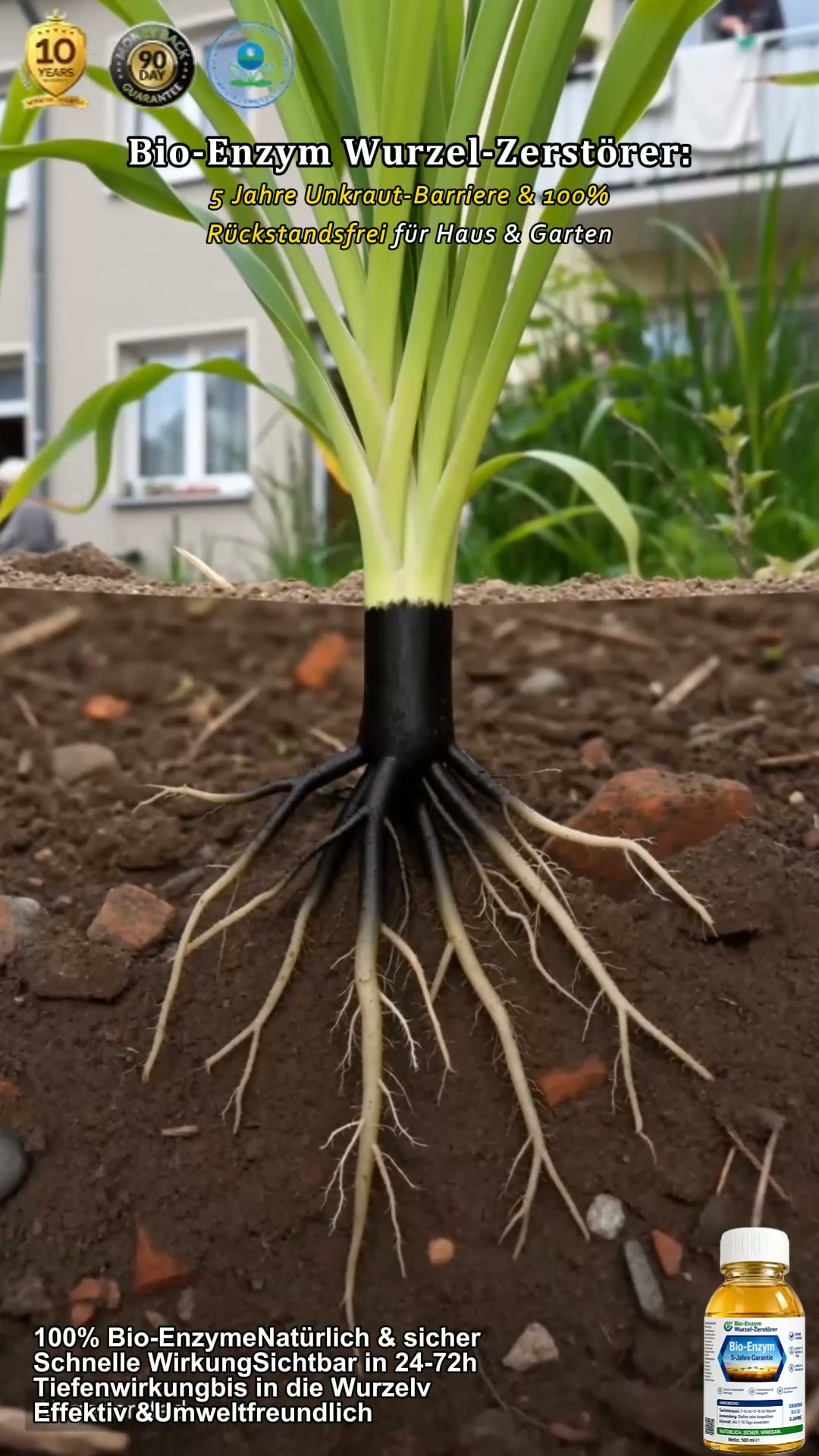 Effektive Gartenpflege leicht gemacht