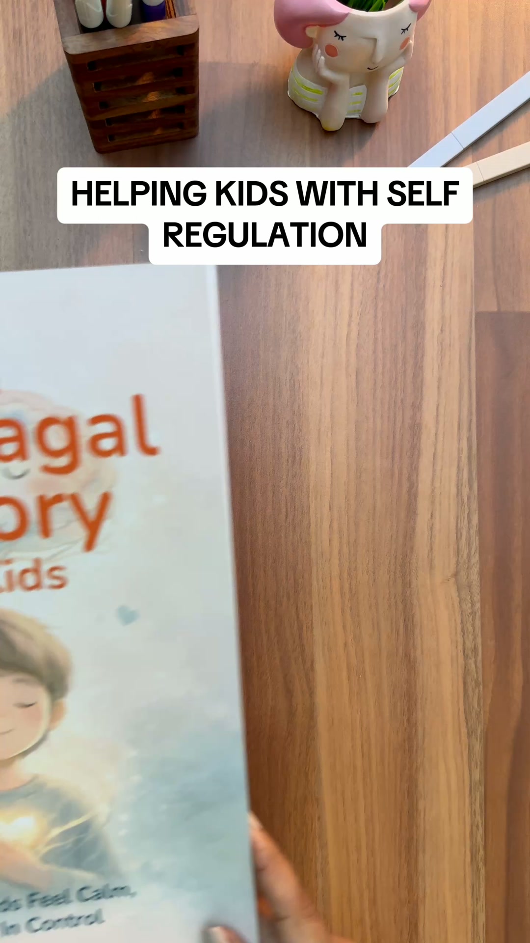 Struggling with a child who cannot regulate emotions - get the toolkit that actually helps at 90% off today.