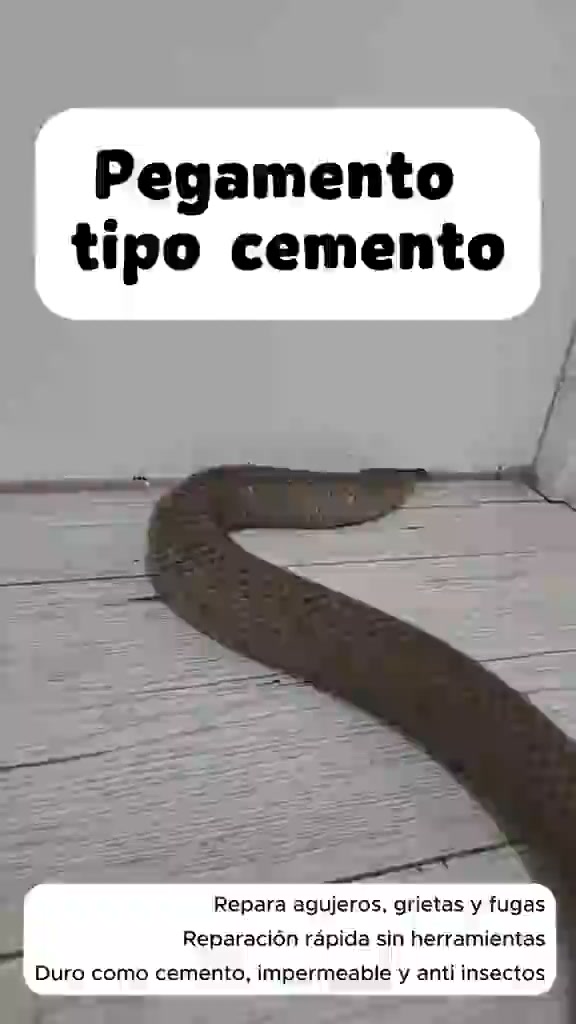 Envío Gratis: 24h y Pago Contrarrembolso