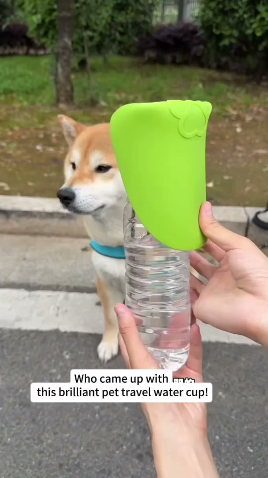 Hydration On The Go For Your Pup