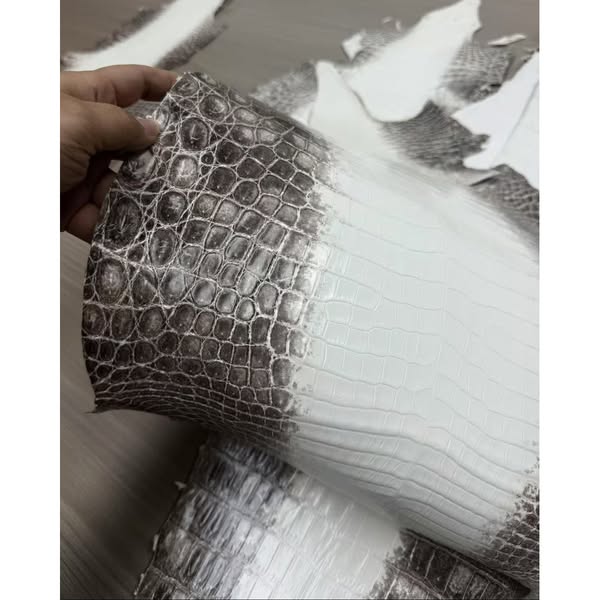 Matte Himalayan Nile Crocodile Skin — Grade 1 | Snowy, Brown & Taupe