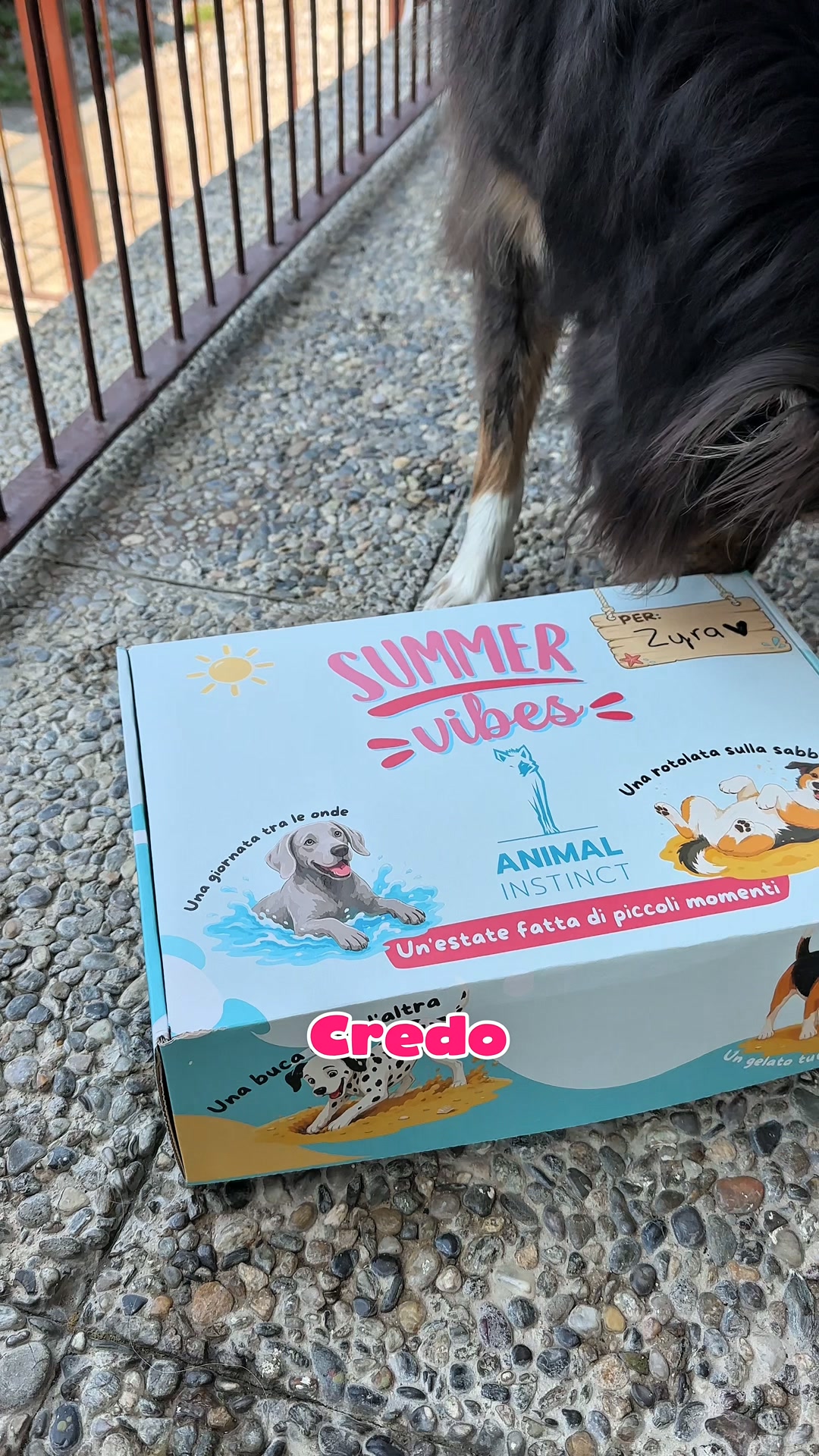 Prendi la tua Summer Box