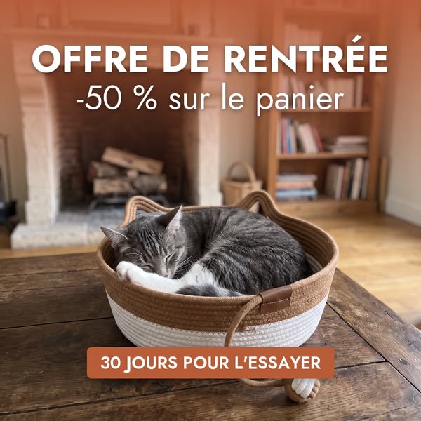 Offre de rentrée : le panier à -50 %