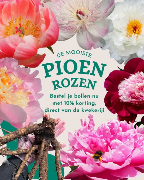 Shop nu met 10% korting!