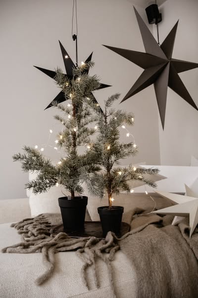 Stijlvolle kerststerren