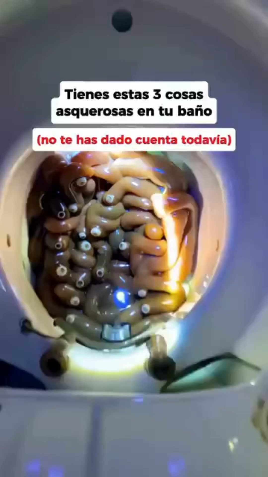 Paga al recibir, sin riesgos