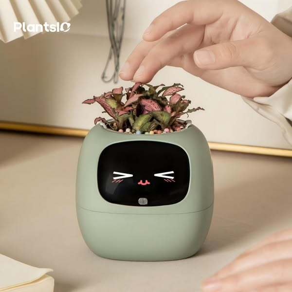 PlantsIO Ivy – Smart & Interactive Planter