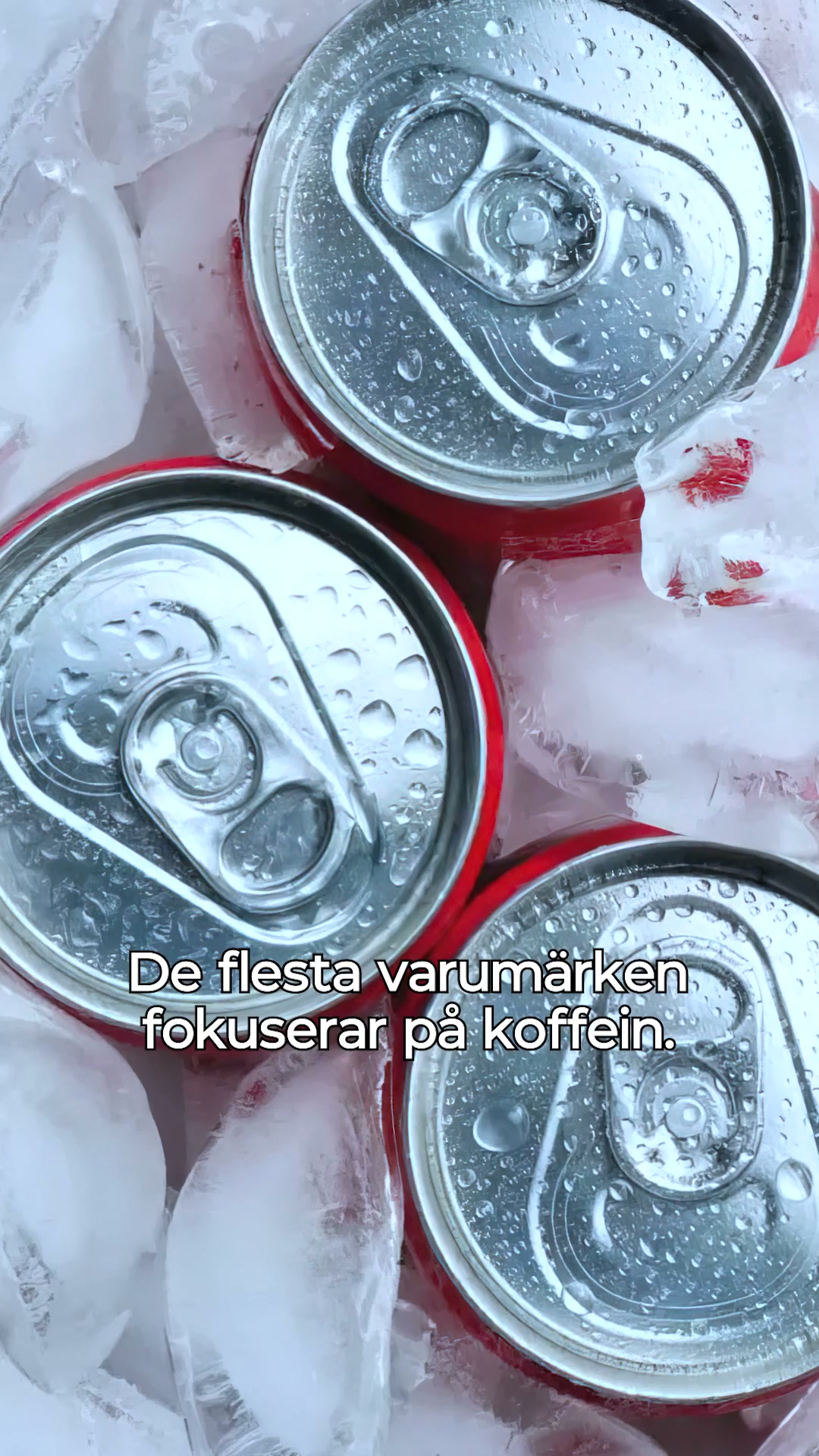 1-3 dagars leverans