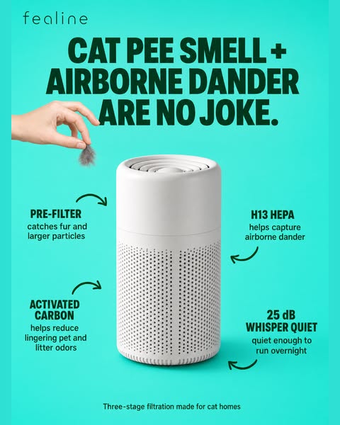 Tired of That Cat Pee Smell?