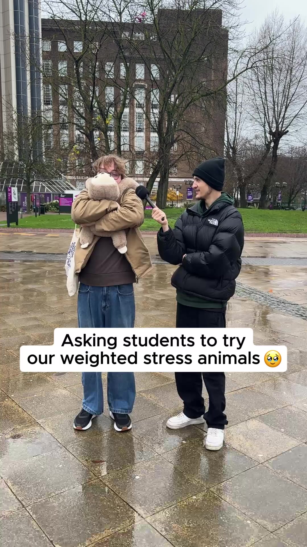 Feel Safe, Calm, and Held