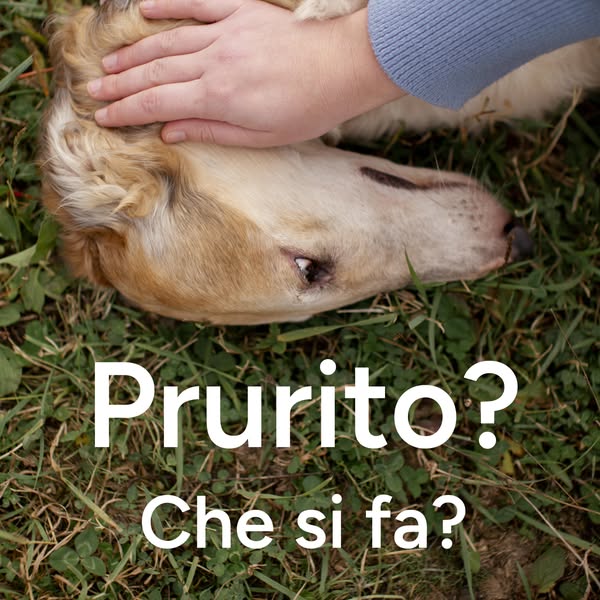 Prurito? Che si fa?