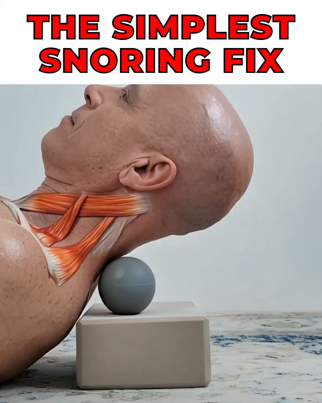 Fix Snoring & Sleepless Nights