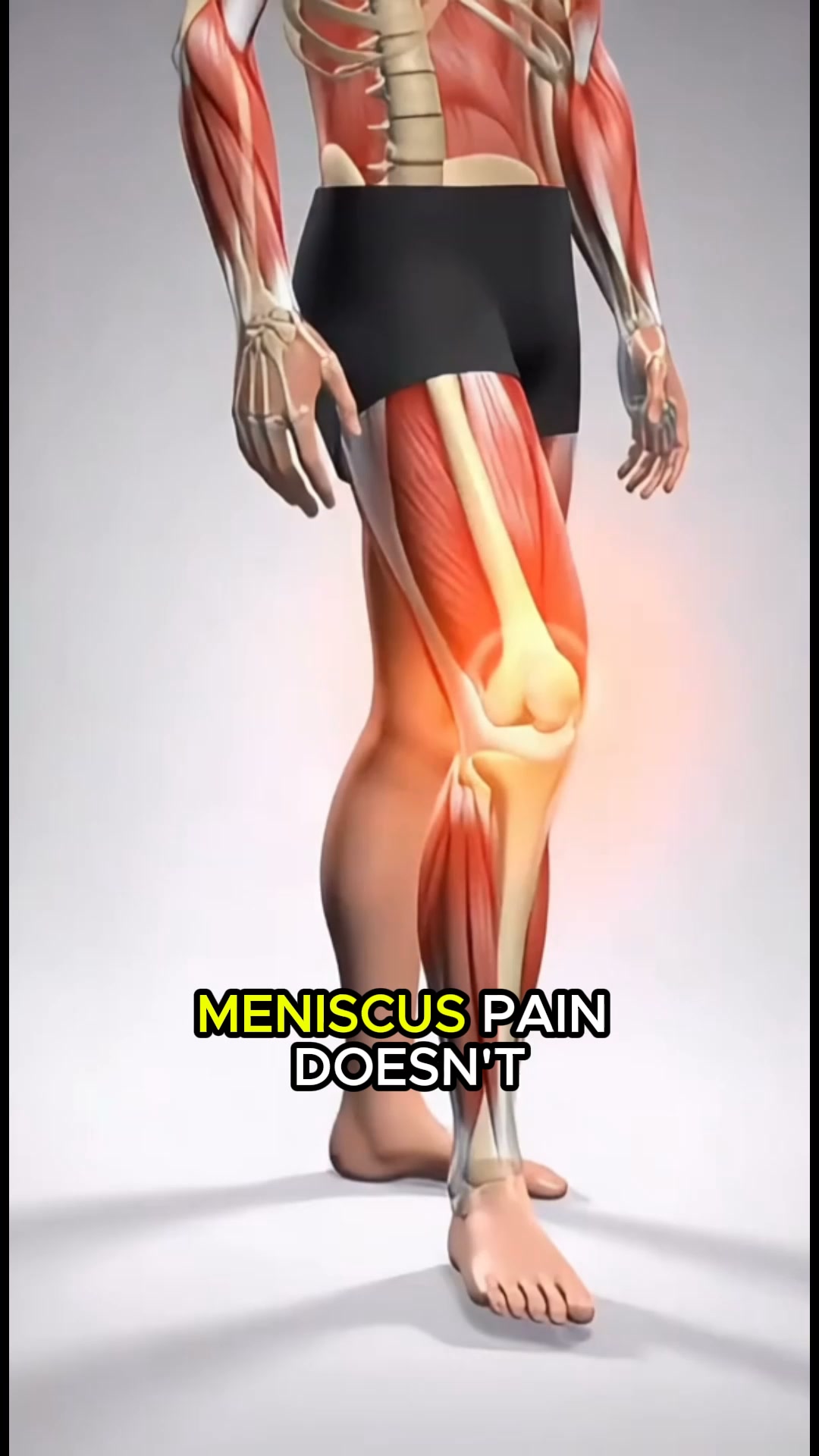 Start Moving Pain-Free Again