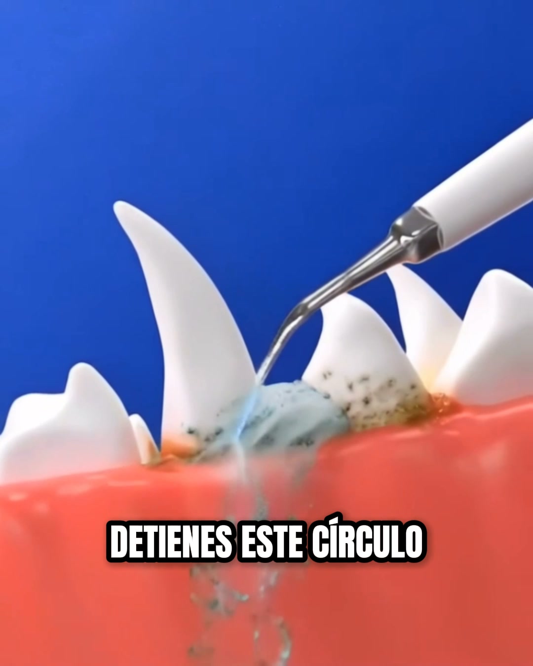 Envío Gratis 24/48h - Pago Contrareembolso