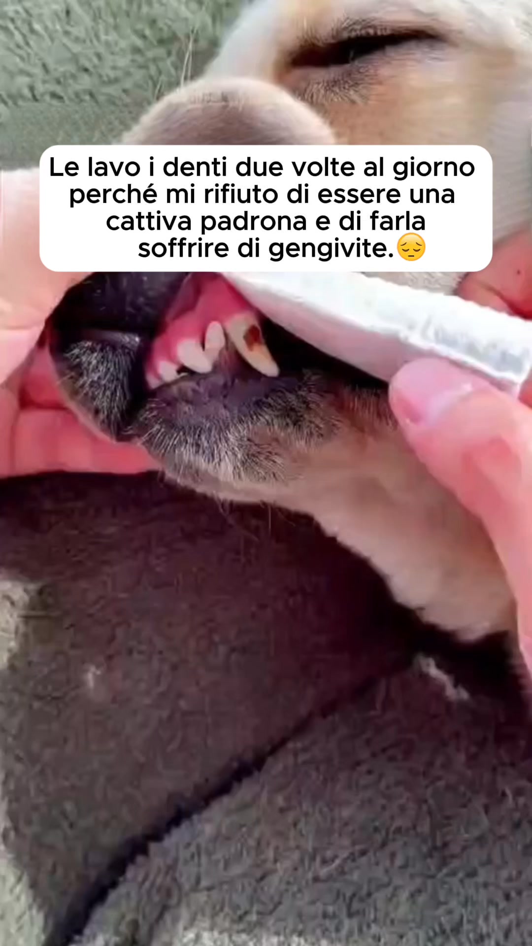Finalmente — un metodo che funziona