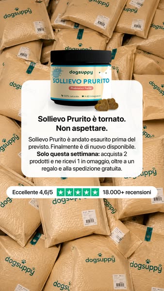 Questa offerta finisce presto