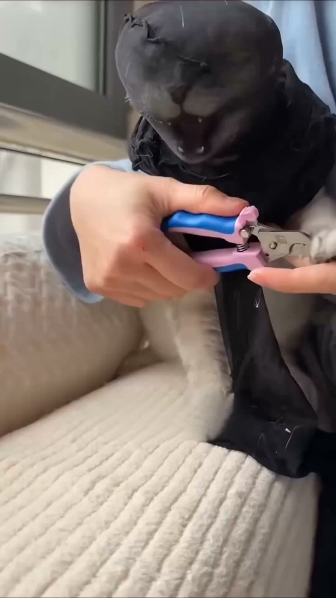 El territorio natural que lima las uñas de tu gato
