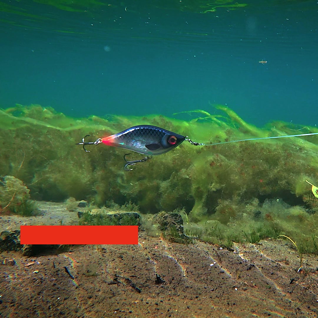 Bestverkocht kunstaas voor snoek