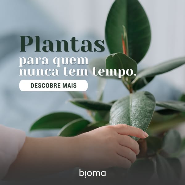 Plantas de Interior