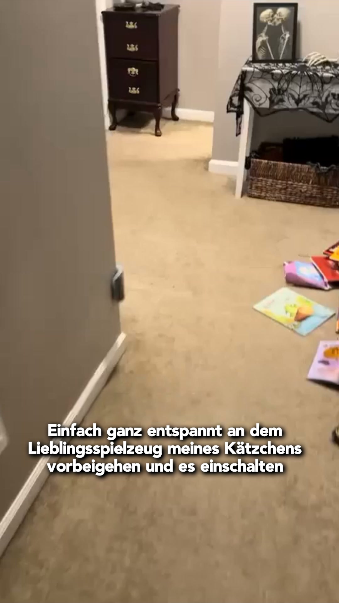 #1 Katzenspielzeug