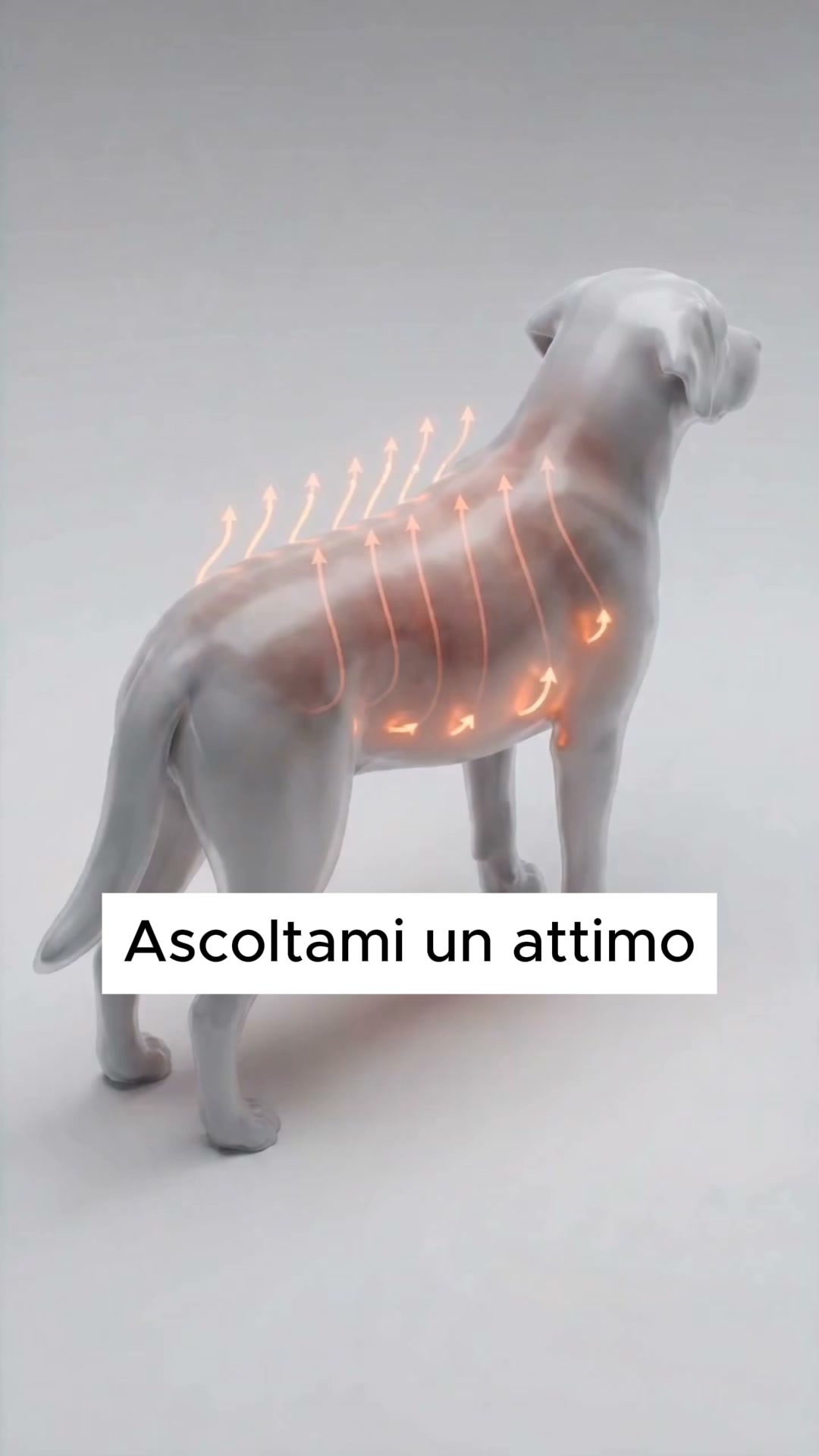Addio Nodi e Pelo Ovunque