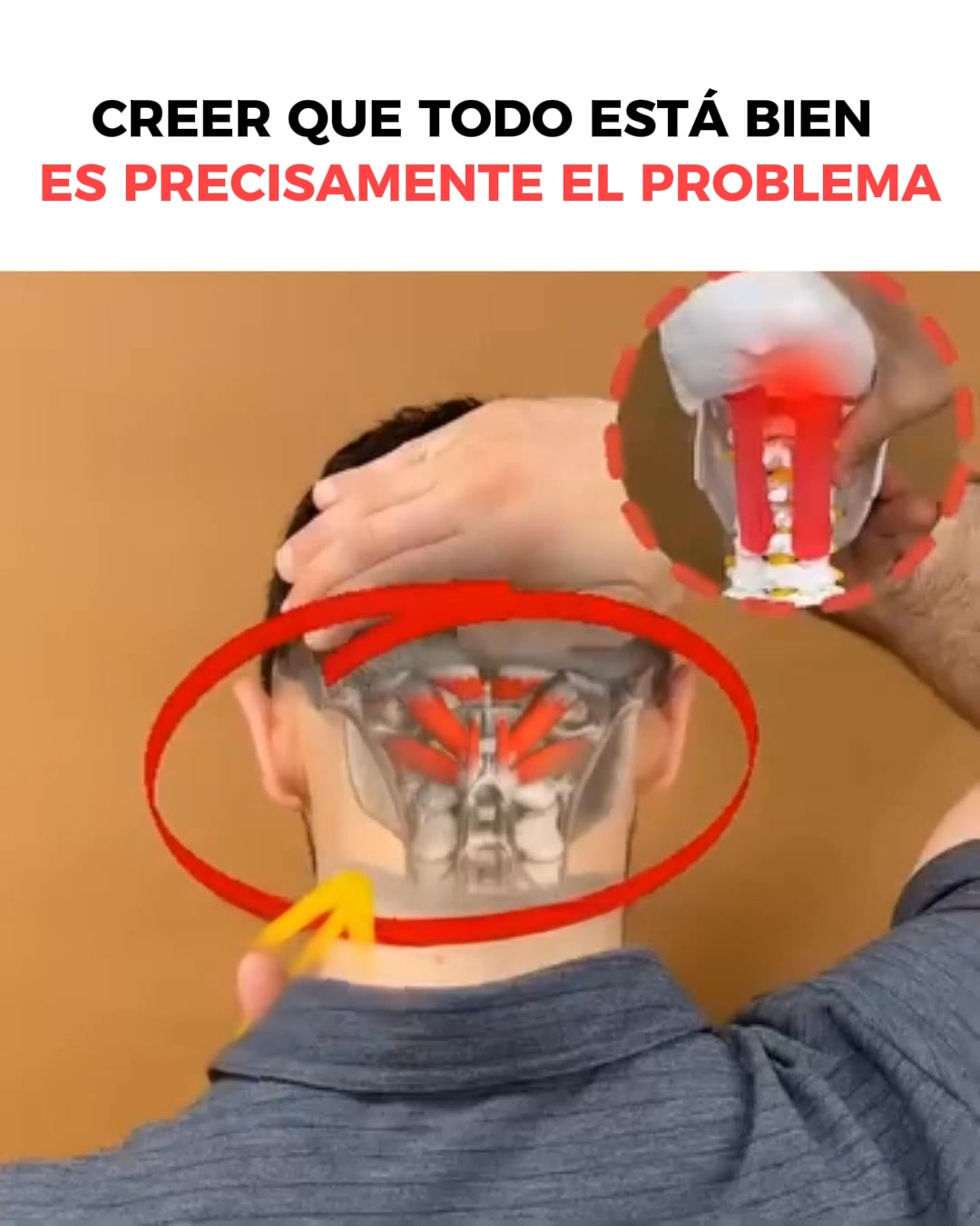 Por Qué Mareos, Taquicardia y Reflujo A Menudo Empiezan en el Cuello
