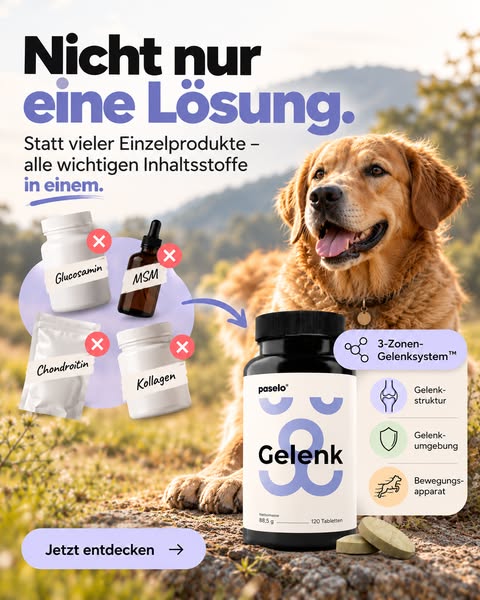 Nicht nur ein Wirkstoff. 13 im System.