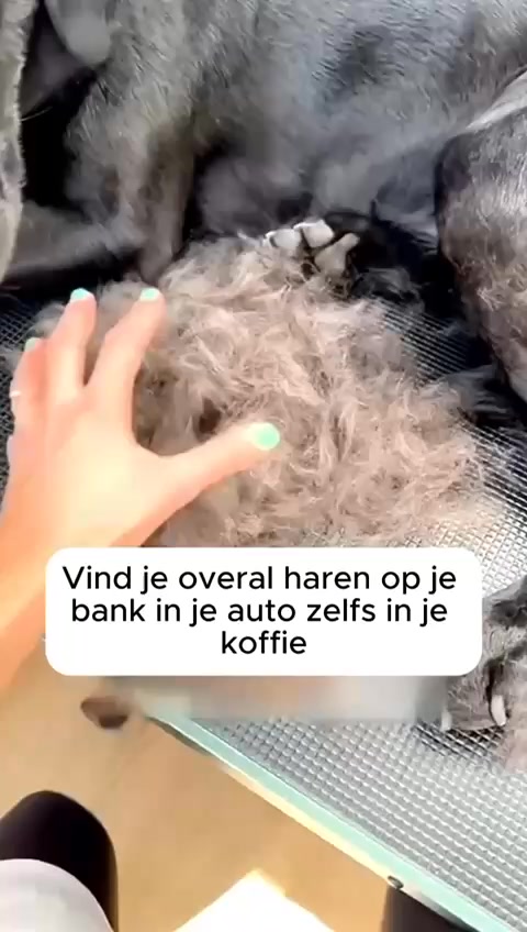 Weer je bank vol haren? Dit is de oplossing.