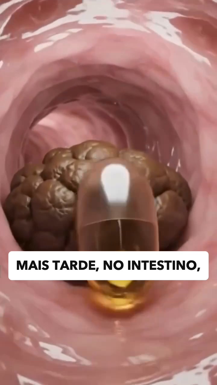 Prisão de ventre? O problema são as bactérias, não as fibras