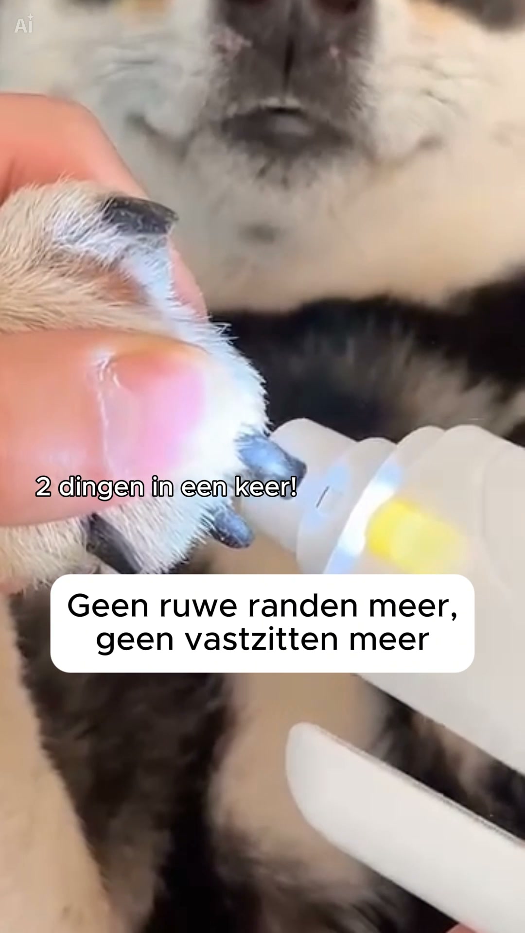 Fluisterstil & stressvrij knippen