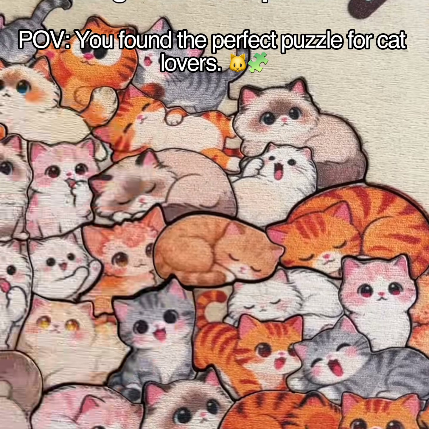 Made for Cat Lovers