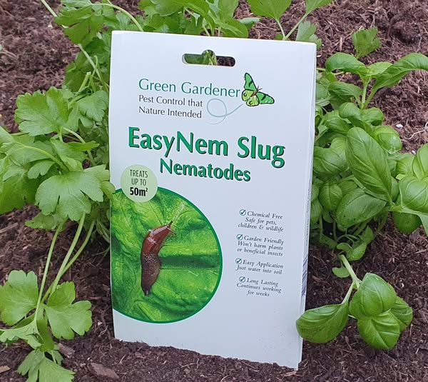 EasyNem Slug Nematodes 50 sqm (Nemaslug Alternative)