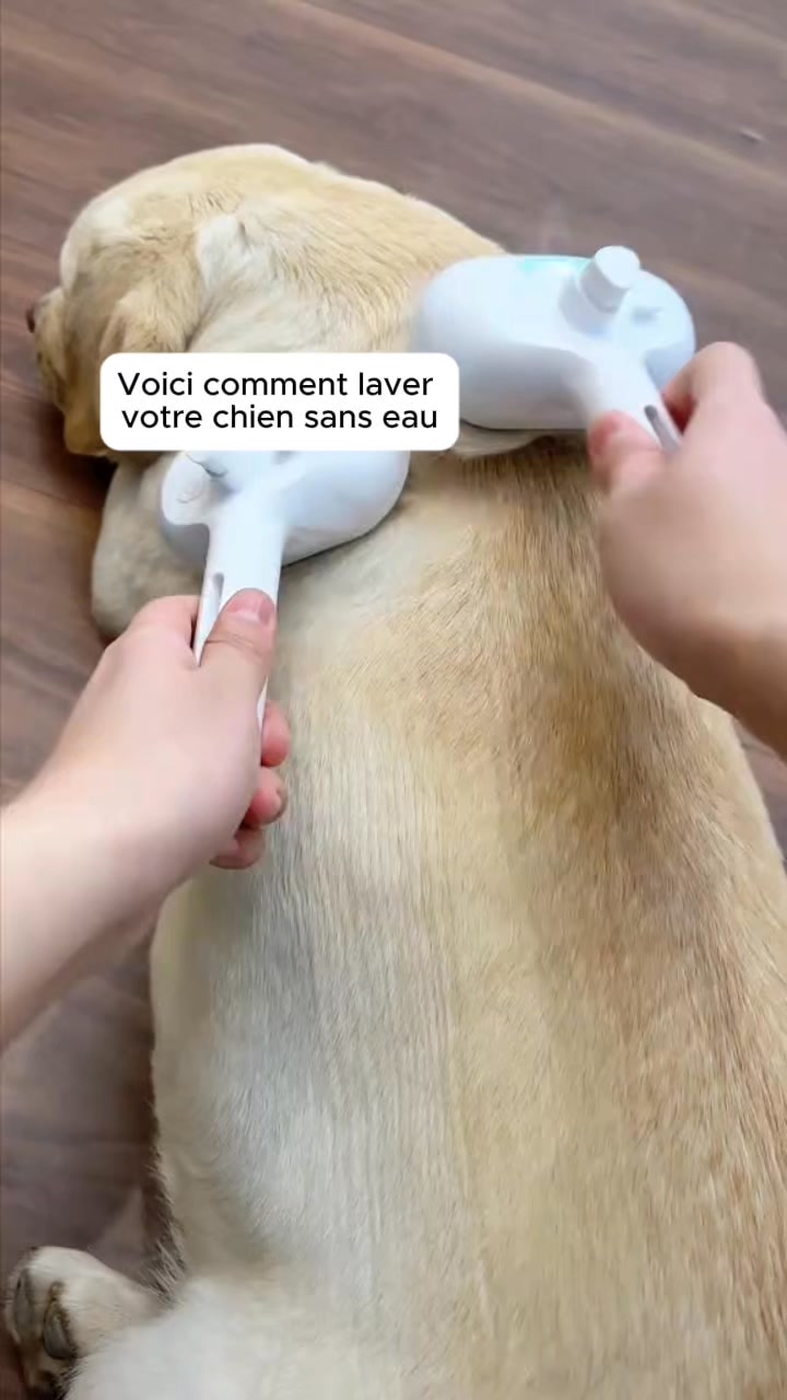 La brosse qui transforme le brossage en moment câlin