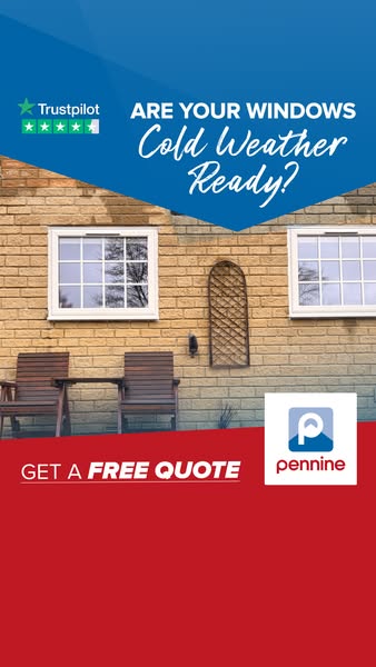 Trusted Window Experts