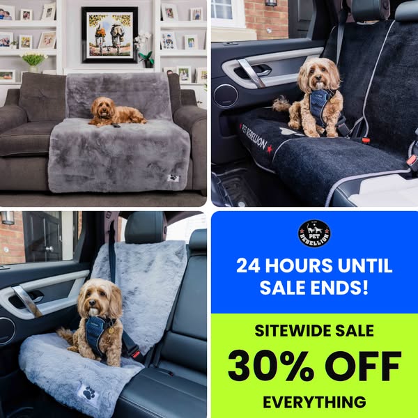 30% OFF