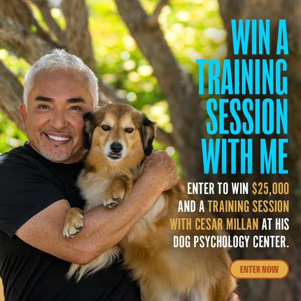 Win $25,000 and a Private Training Session with Me
