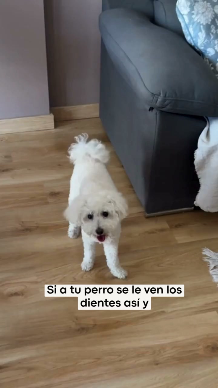 Envío Gratis. Entrega 24-72 horas