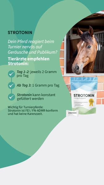 Endlich mehr Entspannung für dein Pferd