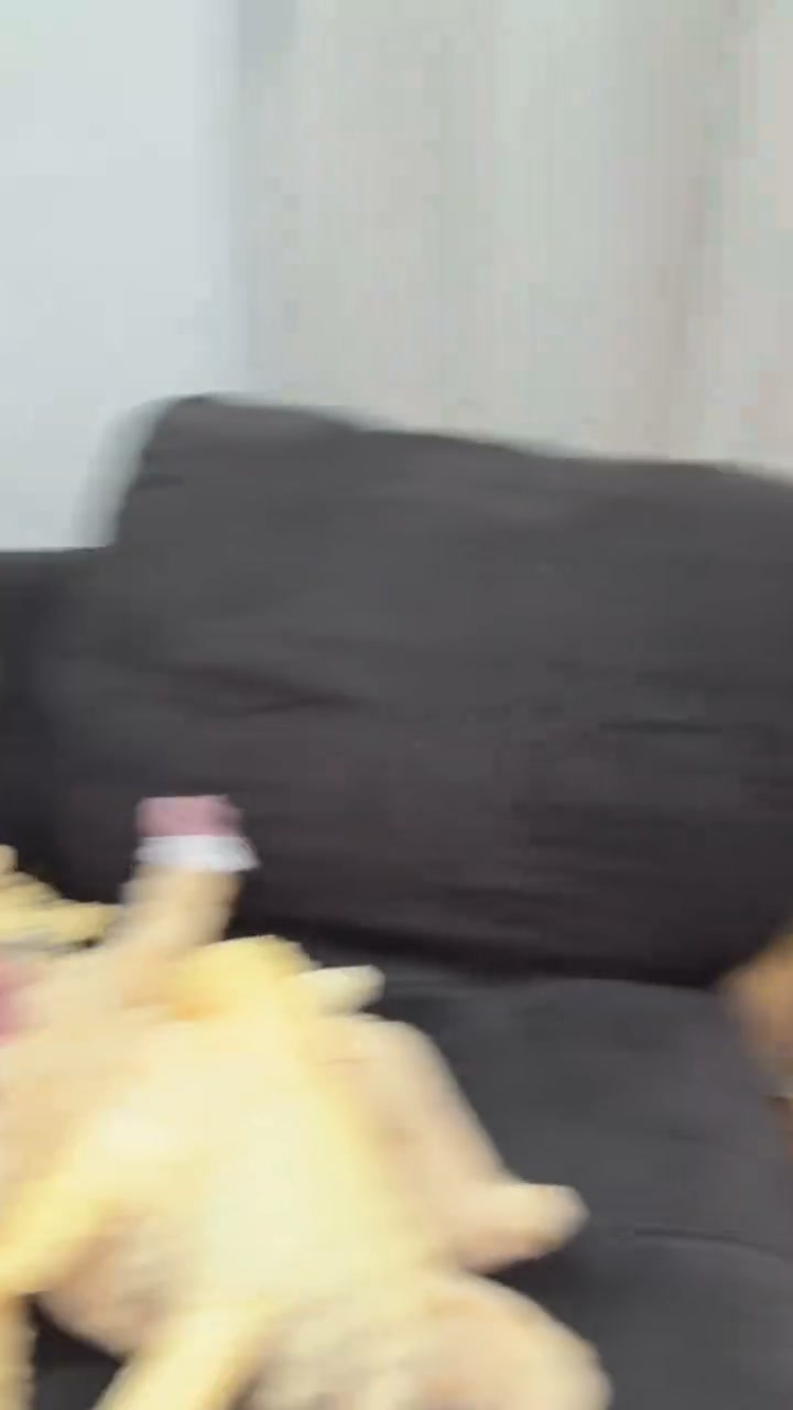 A Game Changer For Nap Time