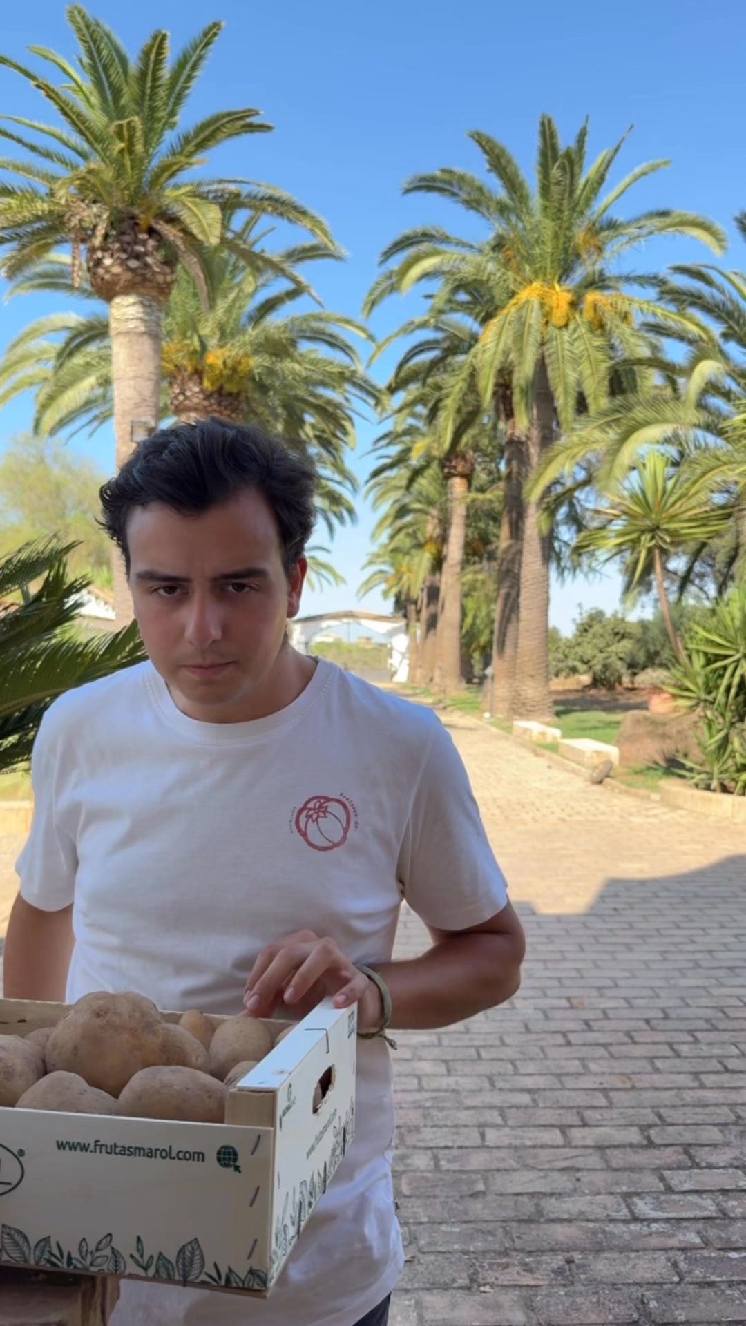 Patata nueva