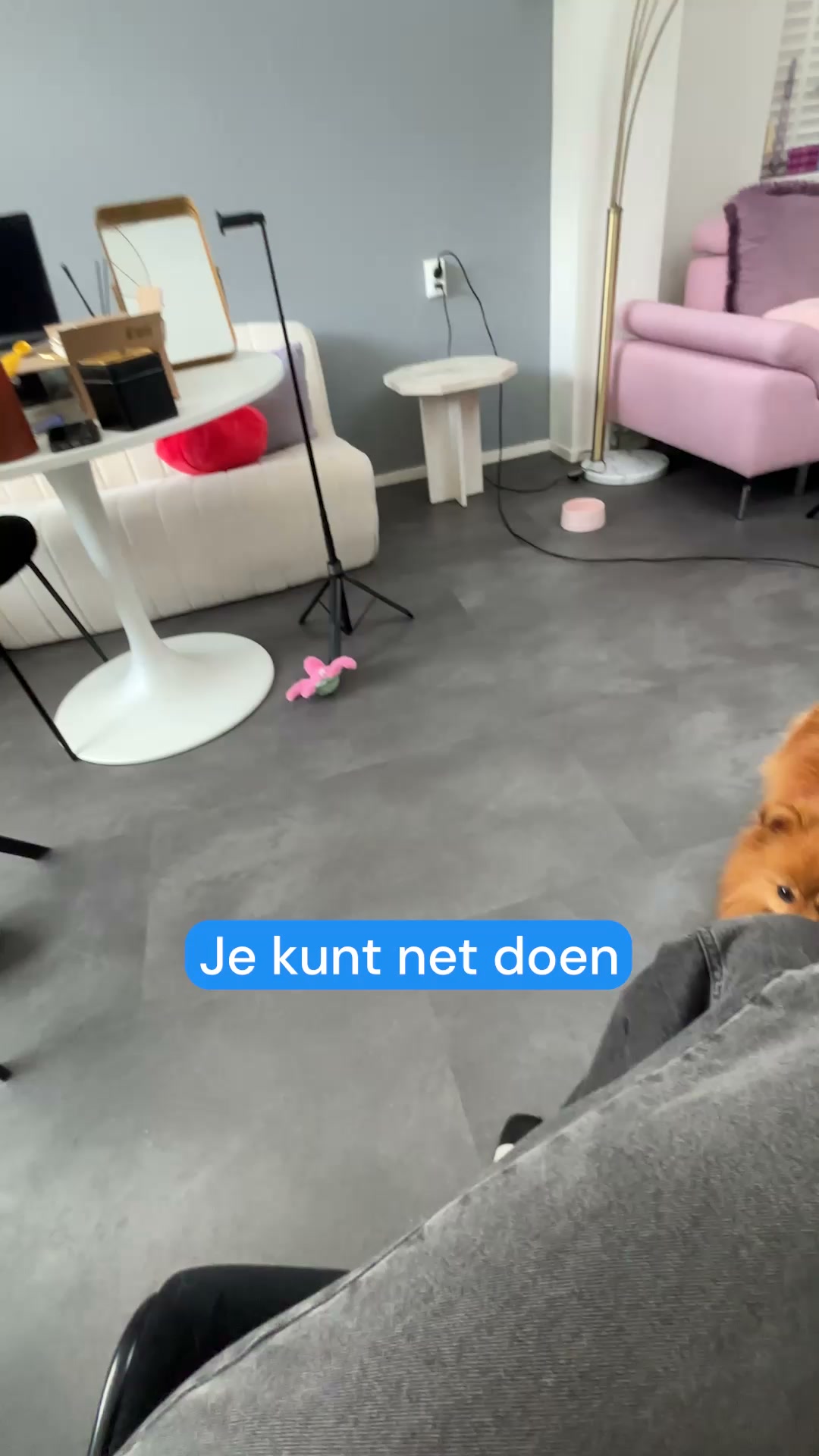 Muffe lucht, condens of schimmelplekken in huis?