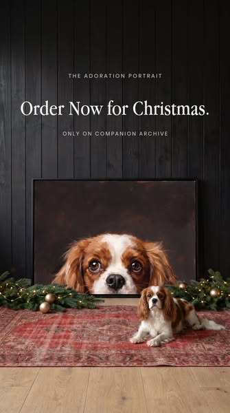 Order Early, Save 37%