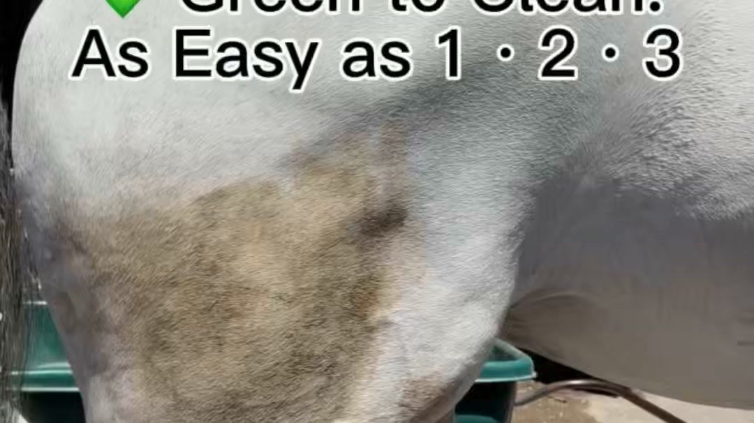 Clean Horse. No Bath Required.