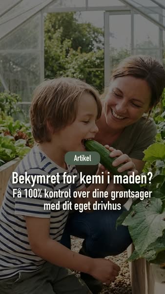 Hvad hvis dit uderum kunne give dig overskuddet tilbage?