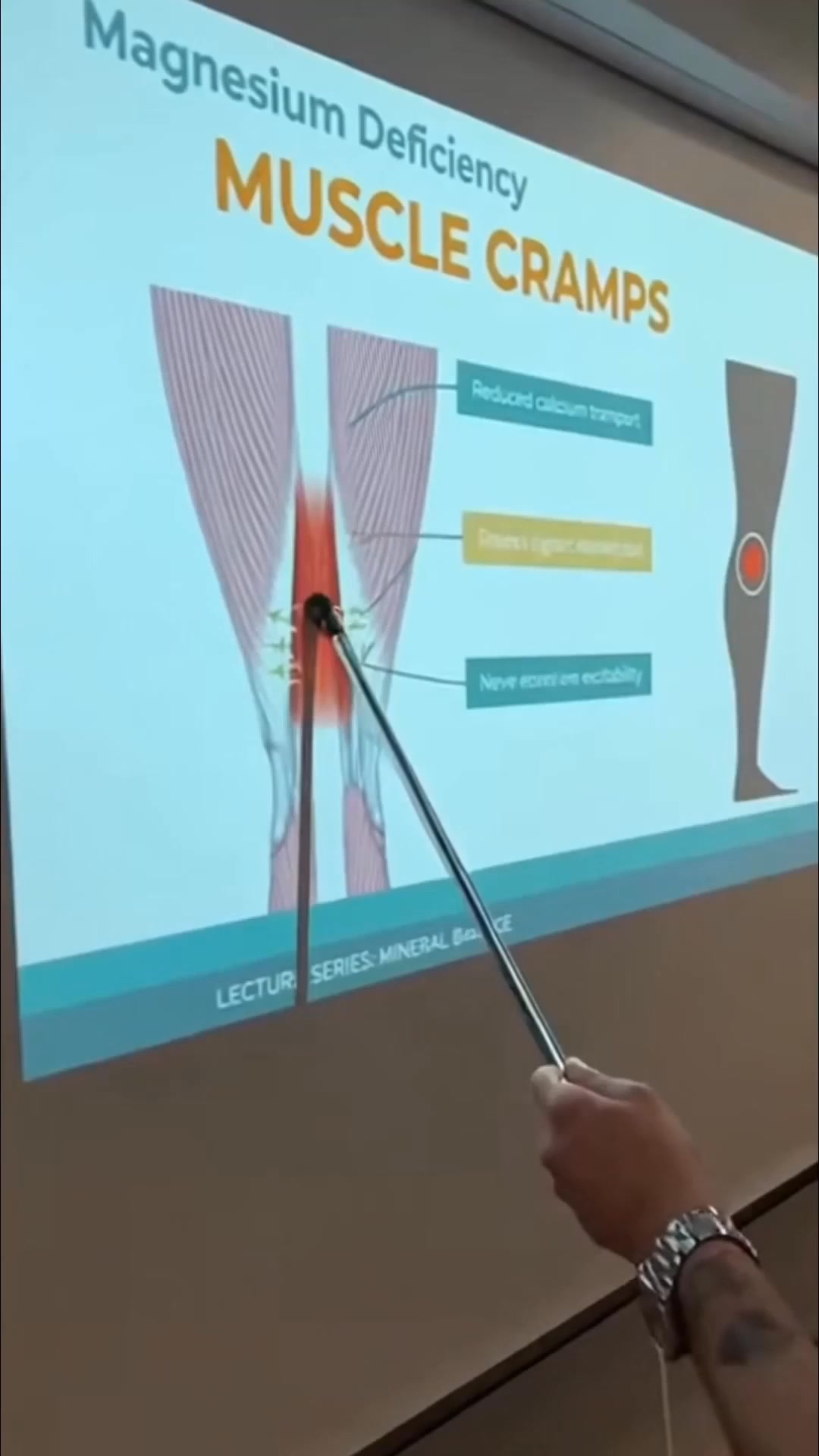 12 form magnezu w 1 kapsułce