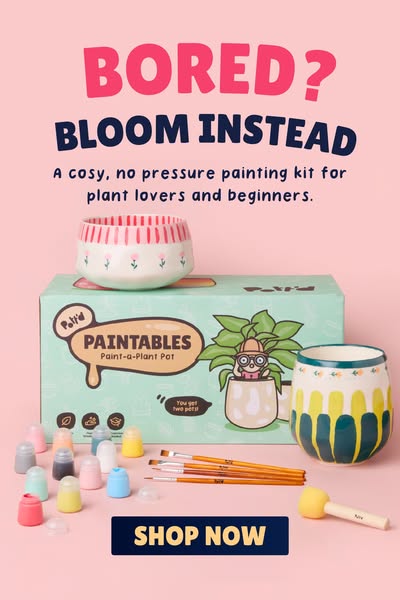 Shop the new Paint-a-Plant Pot Kit now.